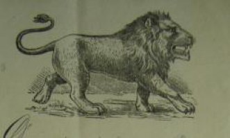 leeuw logo 1